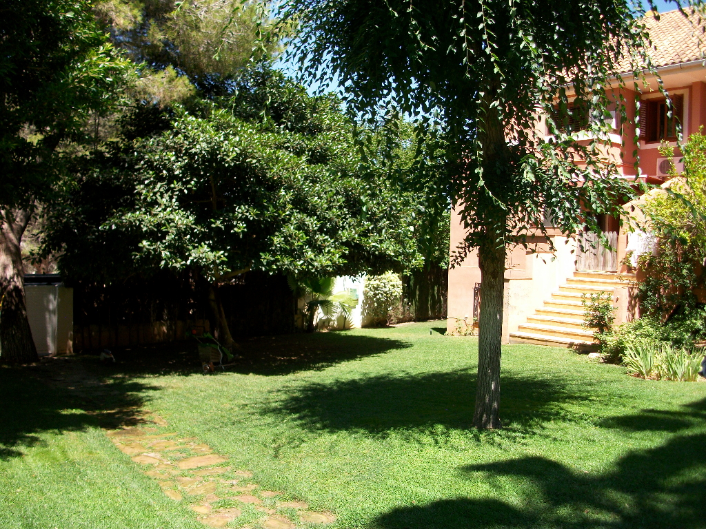 Jardineras exterior  Piscilimp: especialistas en Jardines Valencia